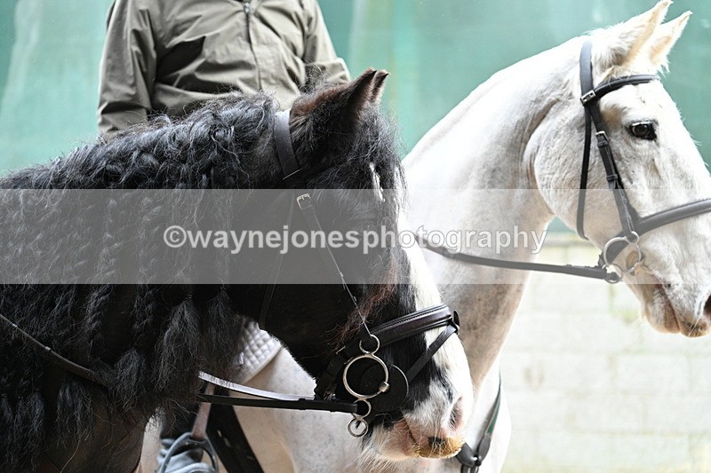 WJ7_8763 - Berks & Bucks - Rowles Farm 15-02-26