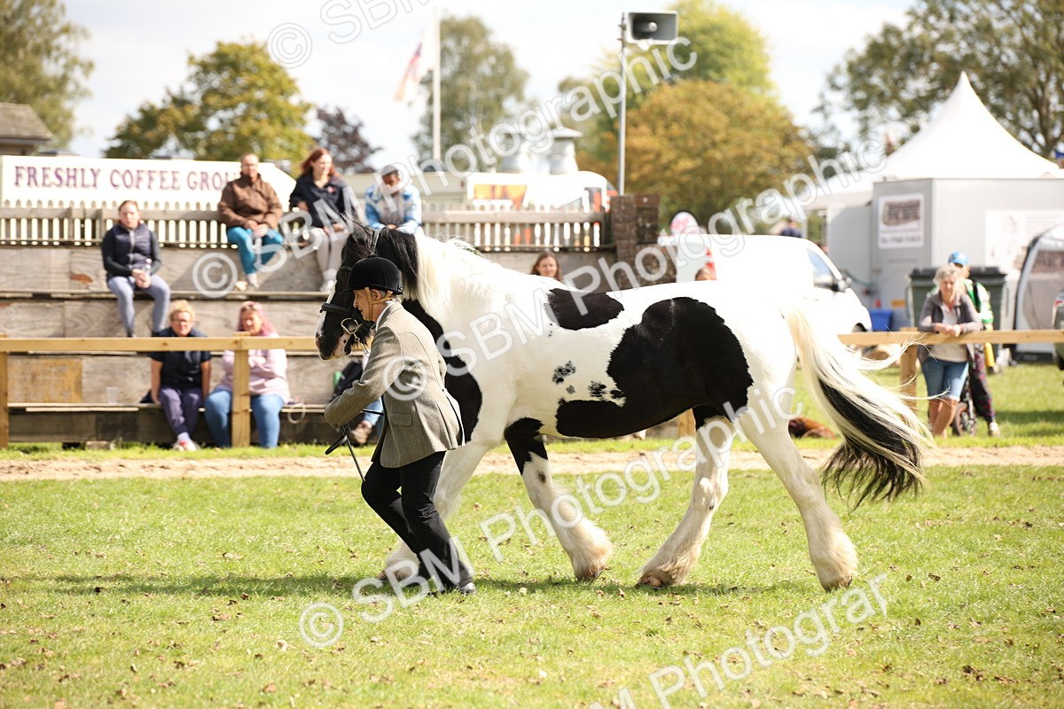 SBM_44488 - S24 - Young Veteran in hand