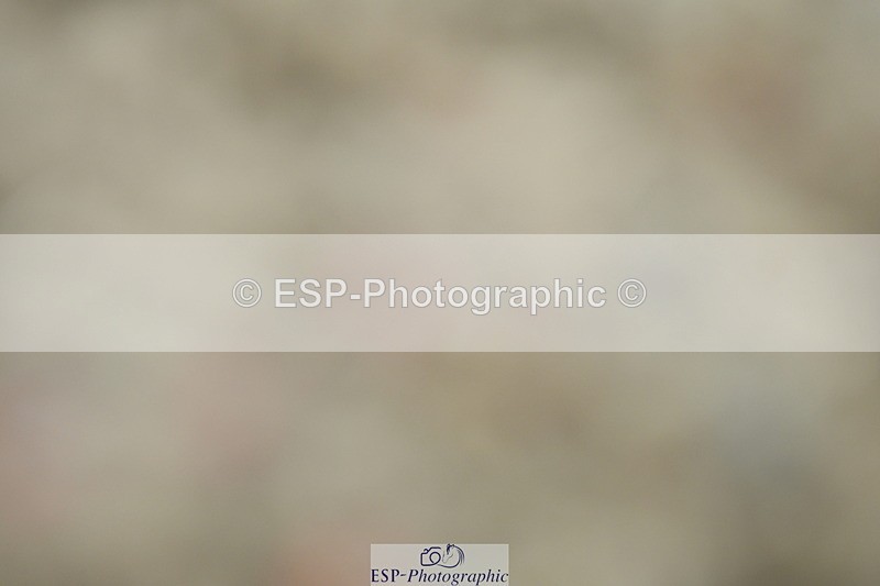 230630A-110119-00635 - Cls 9+12 Music Elementary + Medium