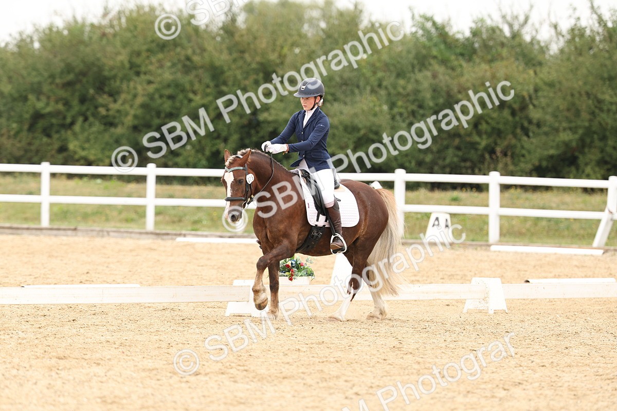 SBM_01057 - Class 8 - Novice 27 Champs