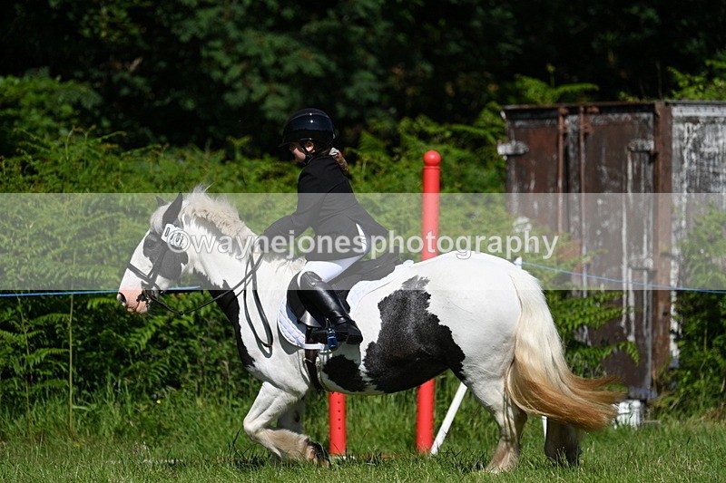 WJ7_0513 - Class 8 First Rally Pony