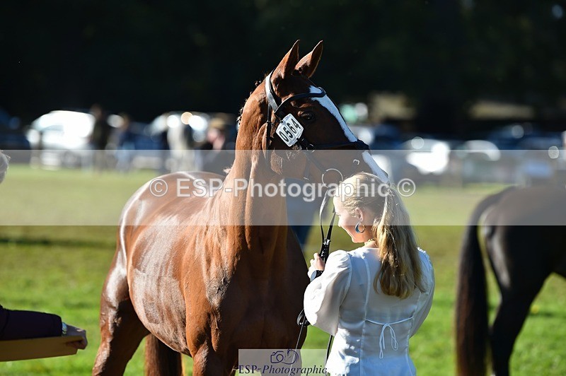 231022-111442-23834 - 564-JANA.DE.CAVAIGNAC-Rosie.Kendall-TrotUp+SJ