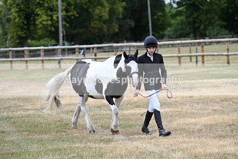 WJ7_1474 - Class 4 Prettiest Mare up to 14.2hh in hand