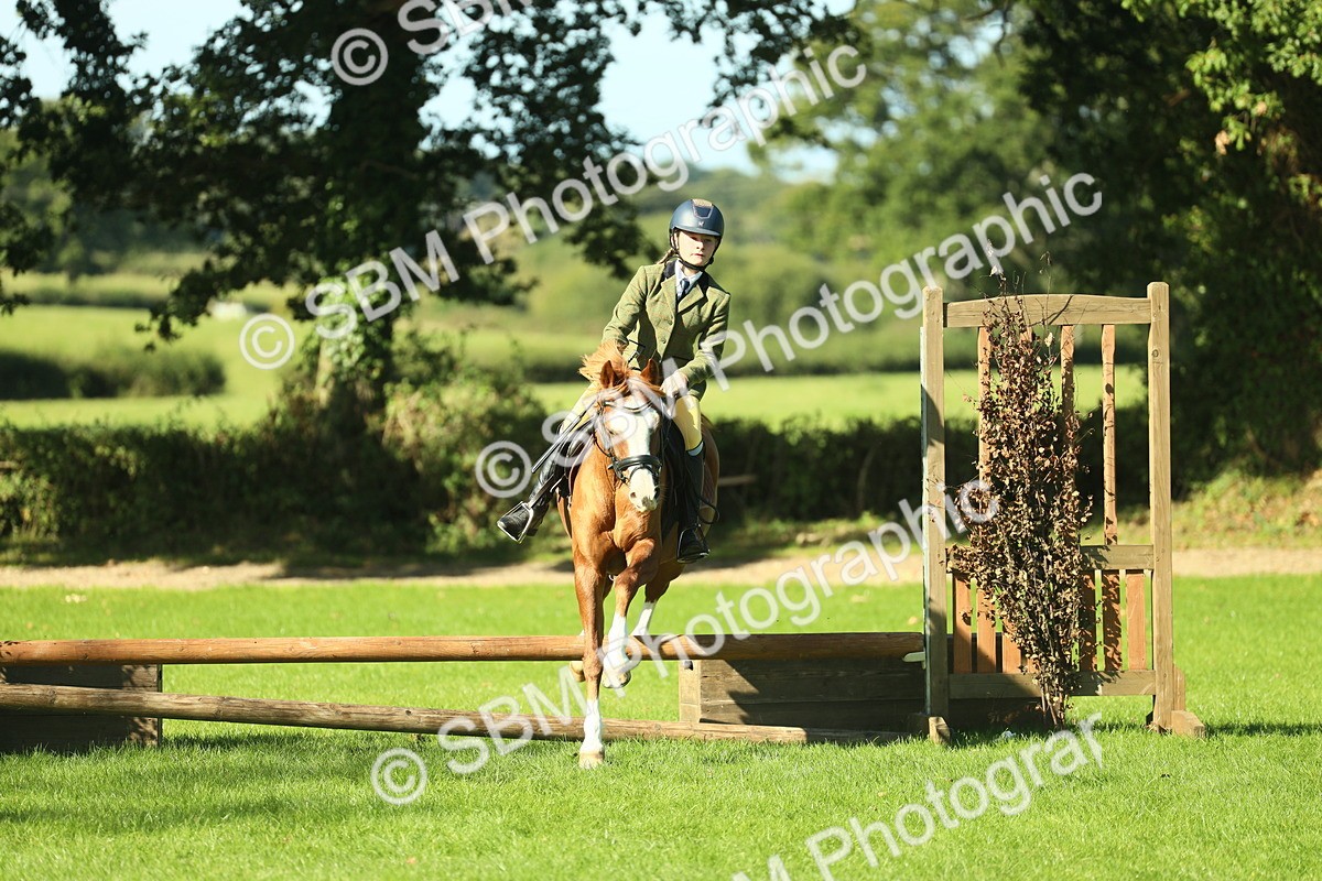 SBM_37443 - S29 - Novice & Newcomers Working Hunter Pony
