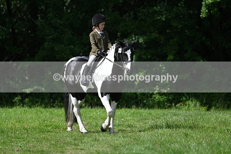 WJ7_0998 - Class 11 Condition & Turnout