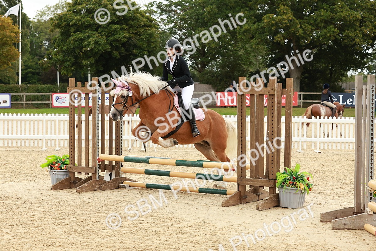 SBM_67099 - J13 - Junior Pony 60cm Championship