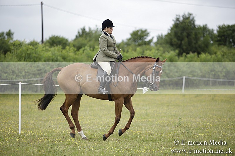 BVR160717-765 - Ring 1 BVRC Show 16/07/17