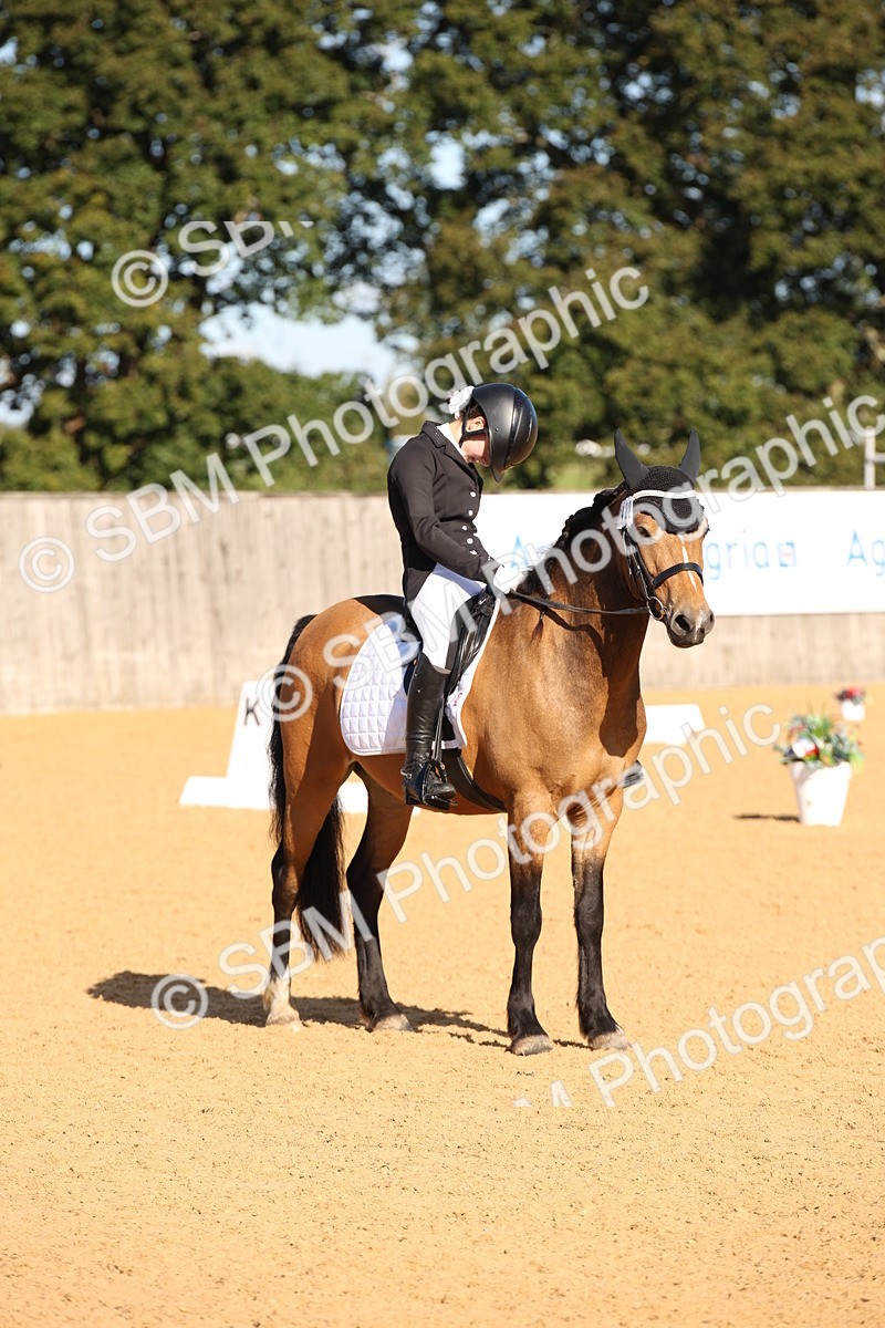 SBM_01900 - D2 Small Tour Championship Intro C