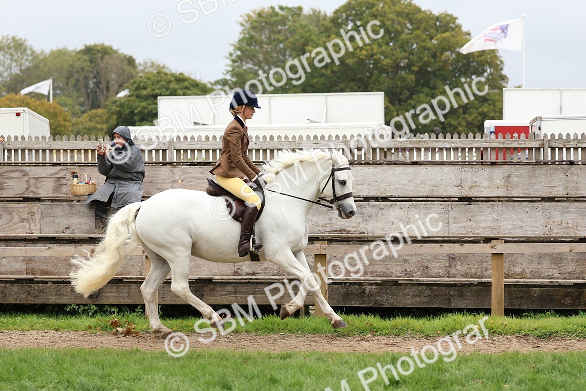 SBM_69588 - S62 - Mountain & Moorland Ridden Large Breeds