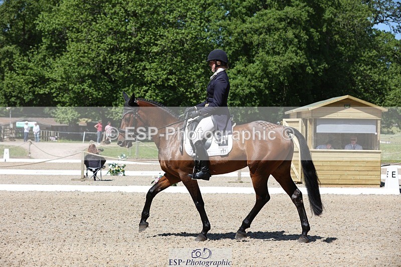 230526-111654-06021 - 151-GREANNANSTOWN_QUARRYMAN_GIRL-Grace_Taylor-WEDTrotUp+DR