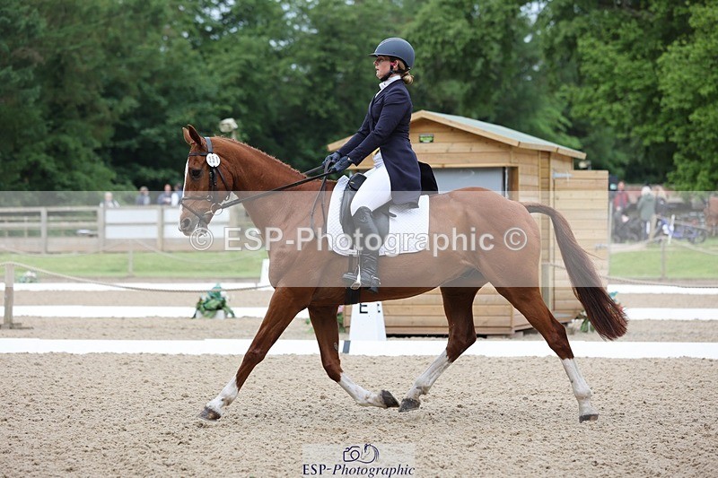 240524-090134-07036 - 251-MILESTONE_GOLD-Gaby_Bull