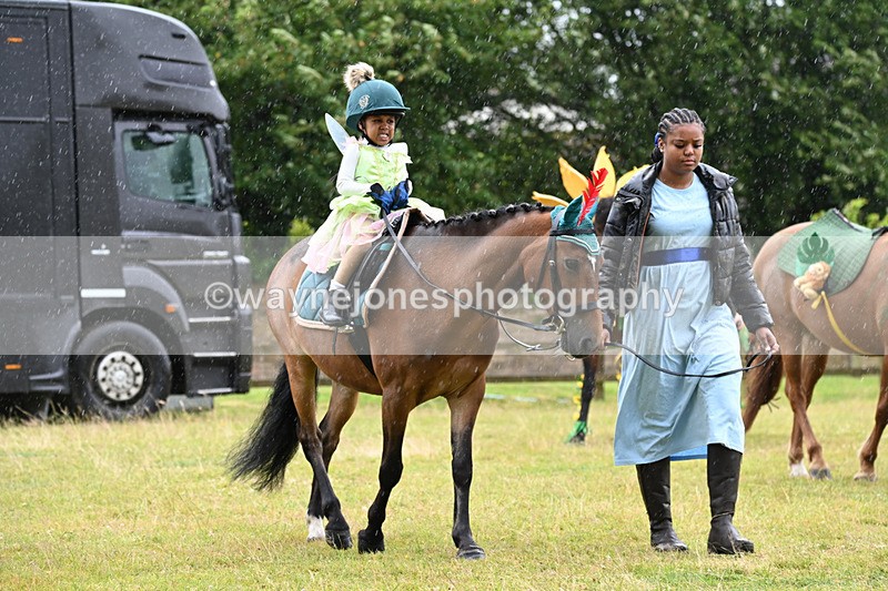 WJ6_9138 - Class 11 Fancy Dress