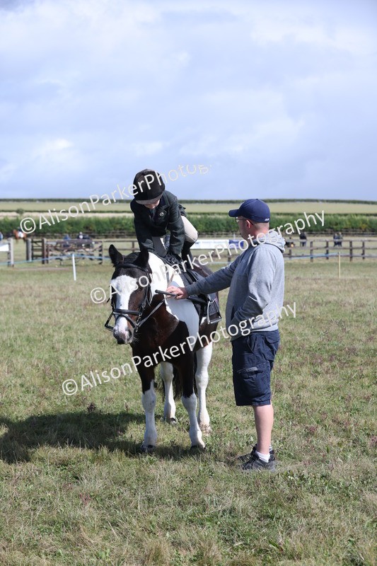 20250831-2494 - Class 16 - Family Pony