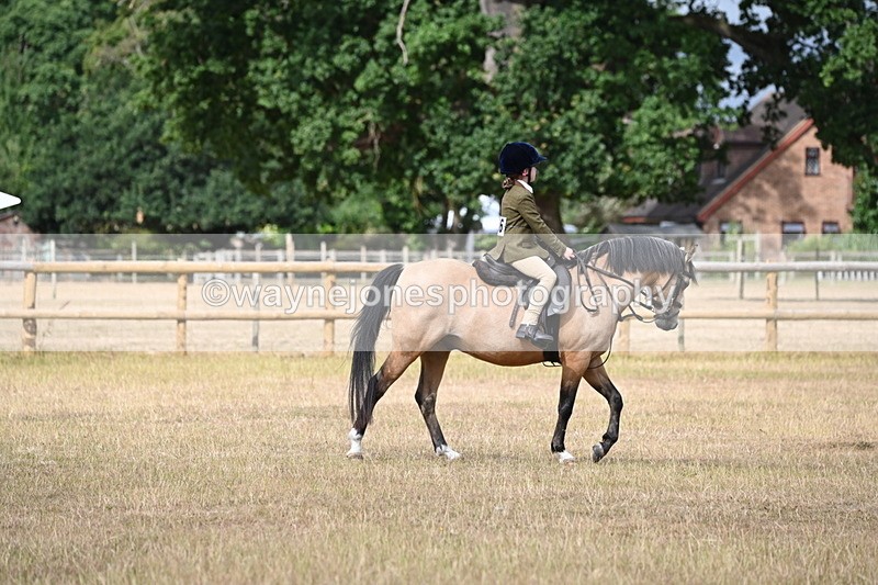 WJ6_7559 - Class 9 Tack and Turnout