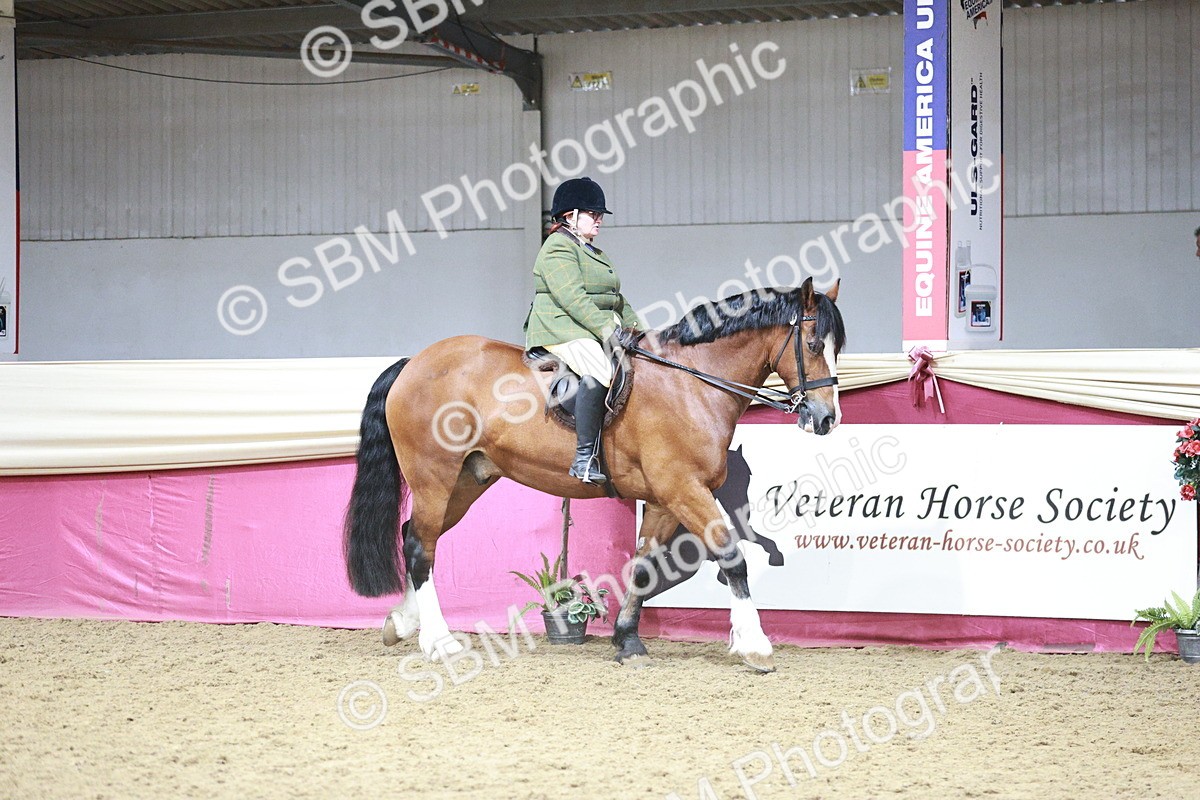 SBM_08730 - Class 12R - Regional Ridden Pre-Vet