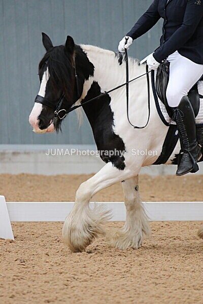 SIAL7033 - GDG Bogenraith Friday 26th Sept 2025