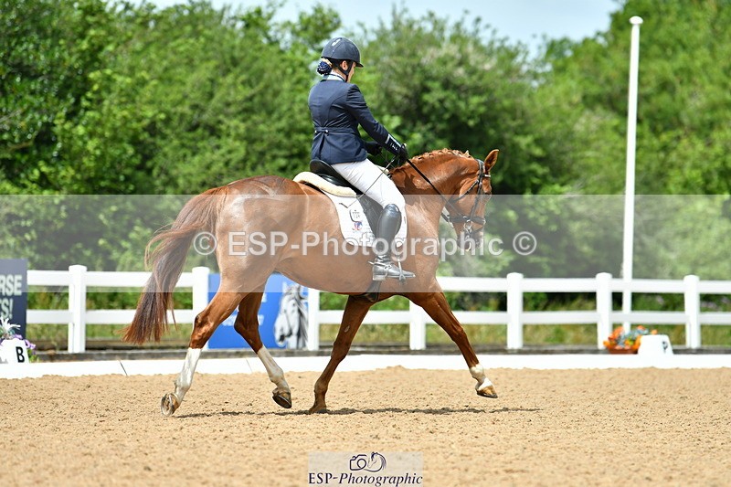 230702A-133010-10023 - Cls 31 Medium 69