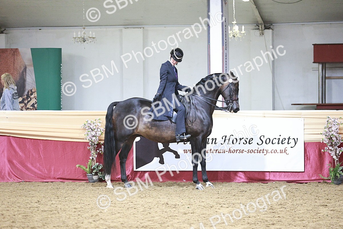 SBM_03370 - Class 6A Area Ridden Pre-Vet