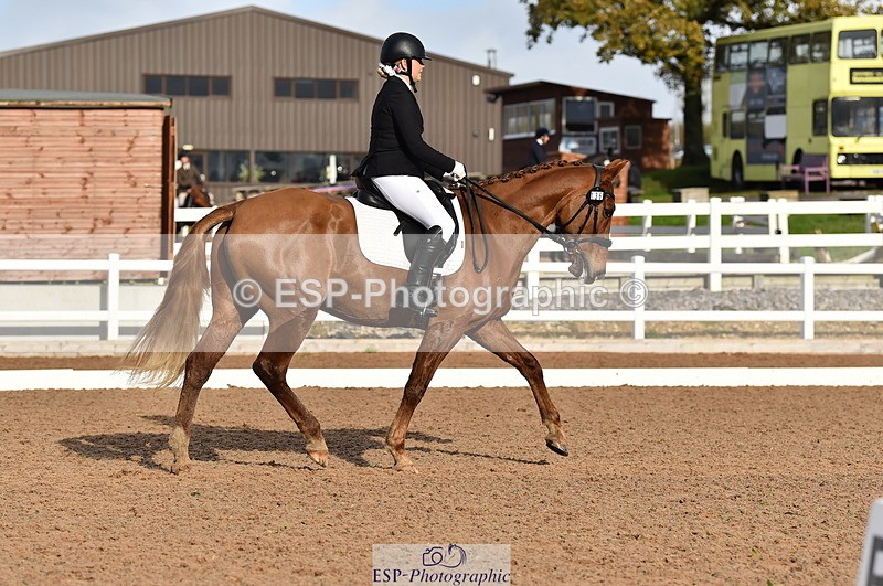 231104A-120202-01658 - Cls 5 Novice 37A