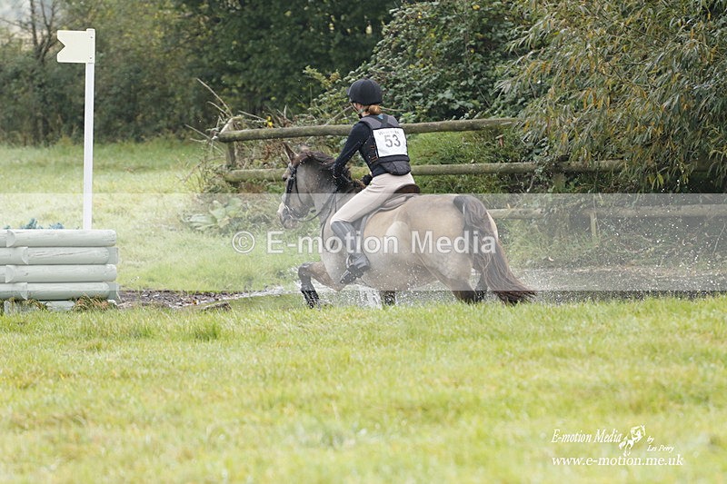  WWHT 171021 0728 - Open Novice (0.80m)  17/10/21