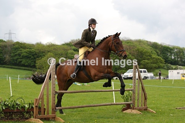 MB_M1644 - Working Hunter/Show Jumping