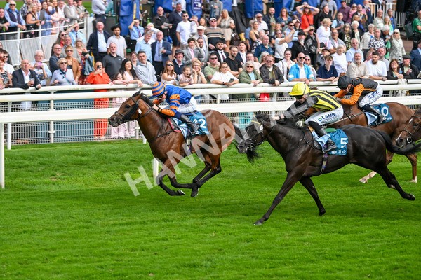 080925-Race 4-Zain Blue-7622 - Race 4 4.00pm Sky Bet Extra Places Middle Distance Handicap