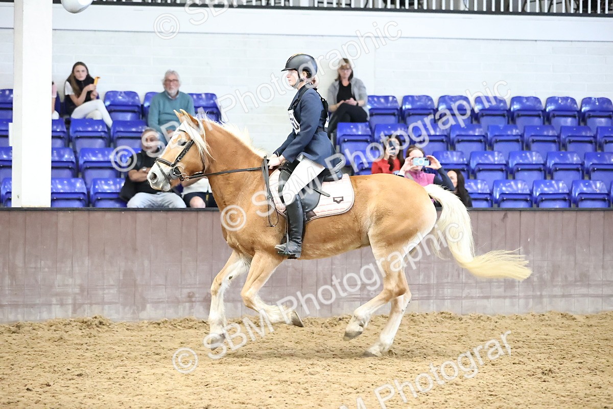 SBM_002430 - Class 6 - Mida Civil Engineering Ltd 80cm Area 12 Championship Qualifier