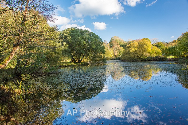 ACP_5258-1 - Lakes