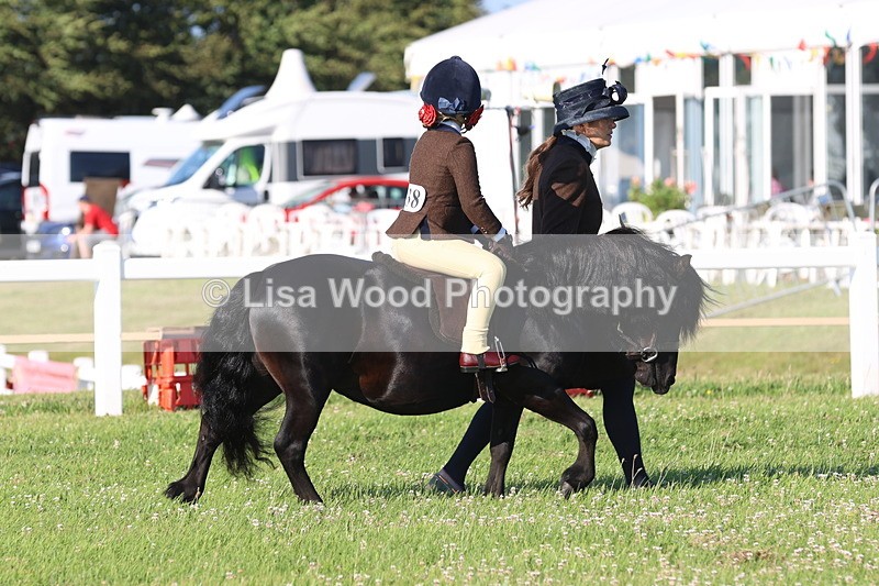JPP_0665 - Class 16: Cornish Combination Leading Rein