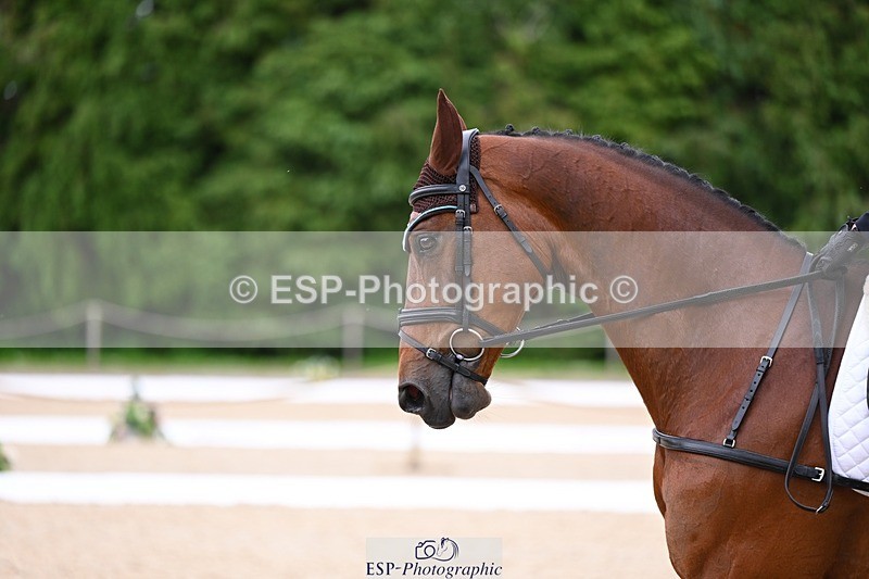 240524-124335-09310 - 151-GEORGINA_W-Elizabeth_Barratt