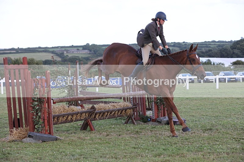 JPP_3675 - Class 24: Open Working Hunter