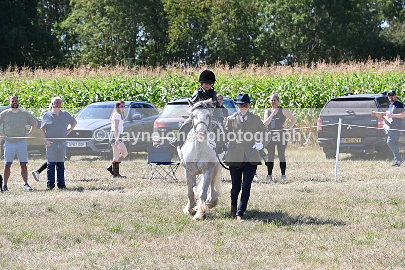 WJ6_7923 - Class 36 Lead Rein