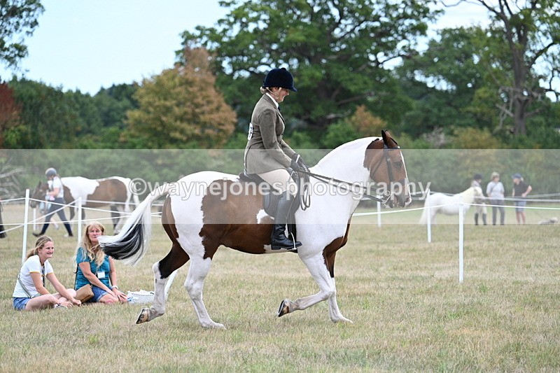 WJ7_4915 - Class 12 Ridden Cob