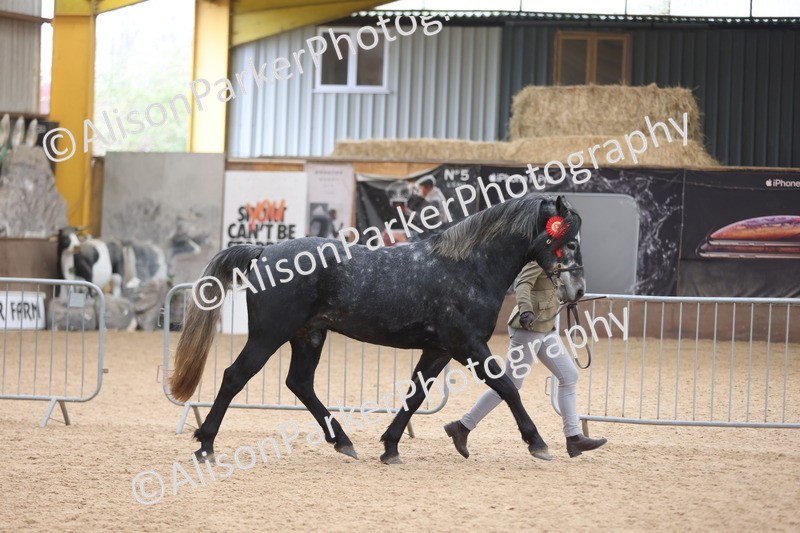 20251109-1127 - Championship