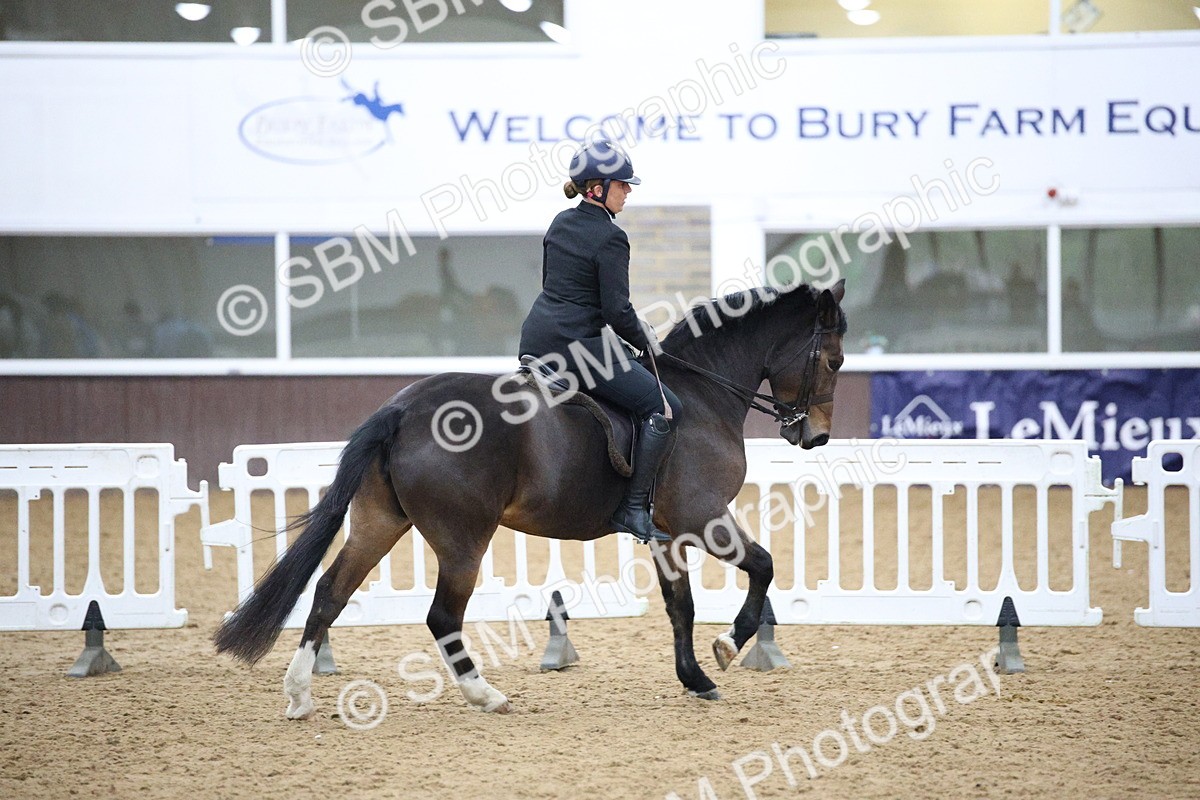 5K7A6094 - Class 48 - Ridden Mare