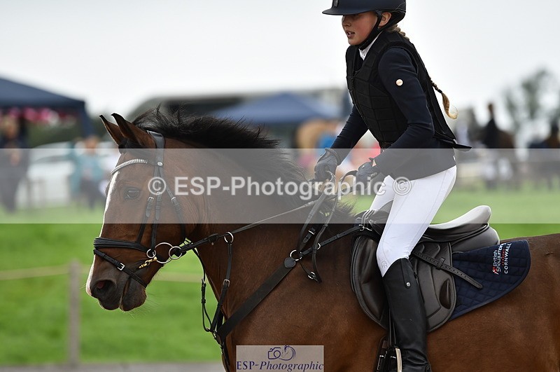 230902A-114210-00812 - Cls 2B Pony Small 80cm