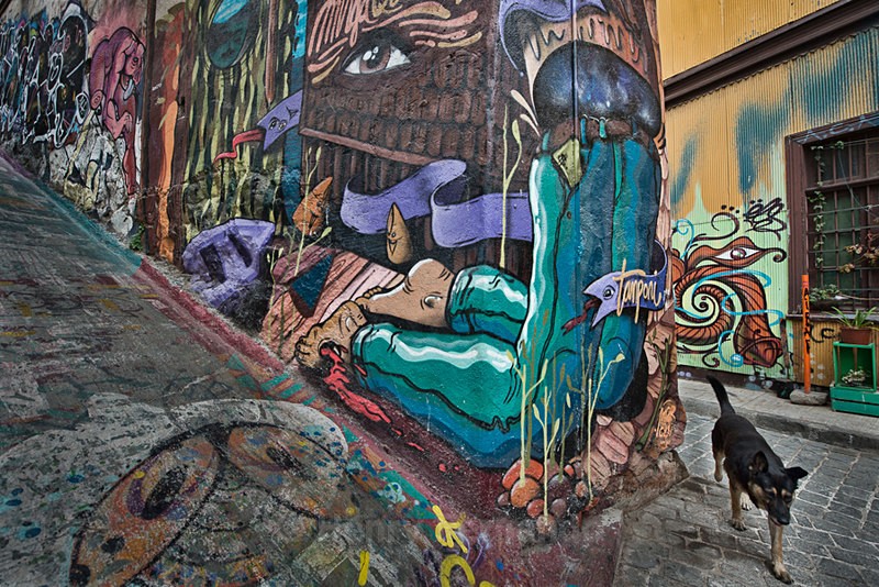  - Street Art & Stray Dogs - Valparaiso, Chile