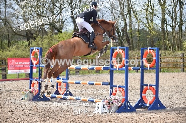 BPP_4187 - CLASS 10 RHS Foxhunter Championship Qualifier