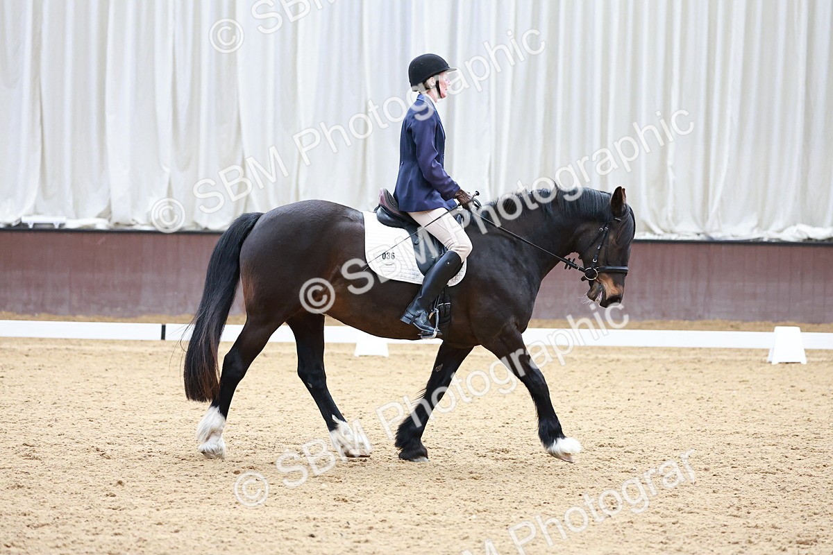 SBM_000399 - Class 3 - Prelim 1