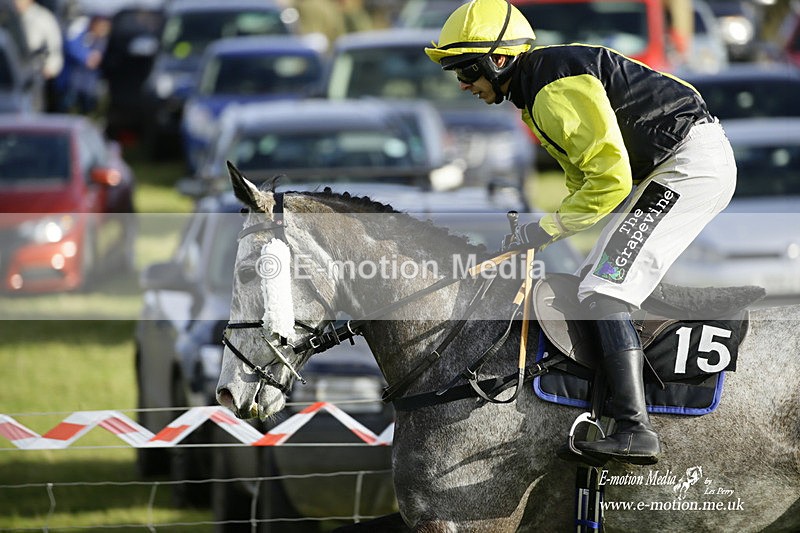 PtP 300122 334 - South Dorset Hunt - Point-to-Point Races 30/01/2022