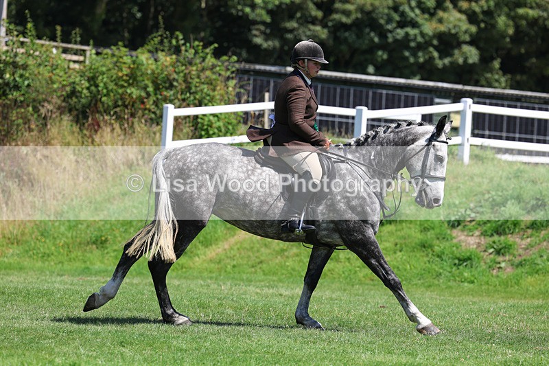 3E7A9165 - Working Hunter Championship