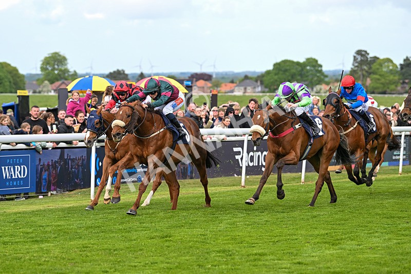 050525-Race 6-Copper And Five-5233 - Race 6