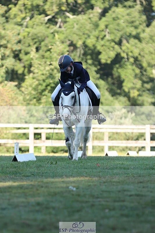 250823A-083641-25737 - Arena D