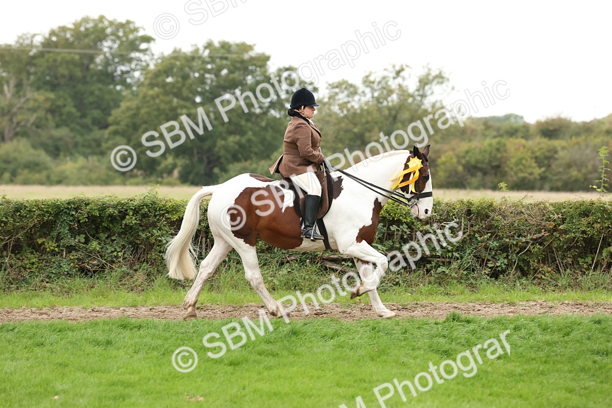 SBM_67341 - S67 - Piebald & Skewbald Horse Ridden