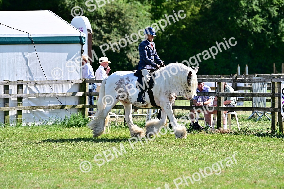 SBM_19399 - Class 101-102 - BSPS LIHS Performance Coloured Horse/Pony