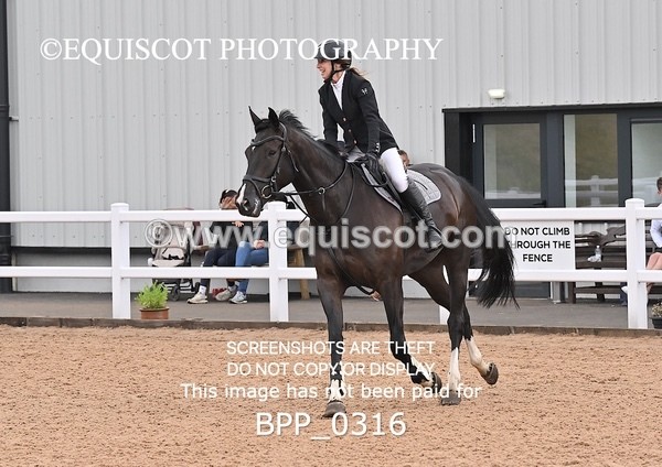 BPP_0316 - CLASS 26 SUN 5 Year Old Non Qualifier