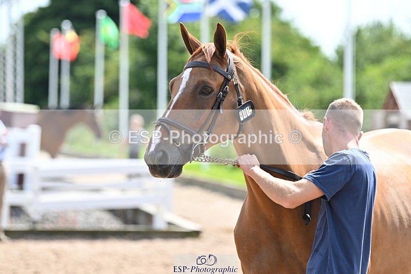 240717A-151225-02642 - Trot Up 3pm to 4pm
