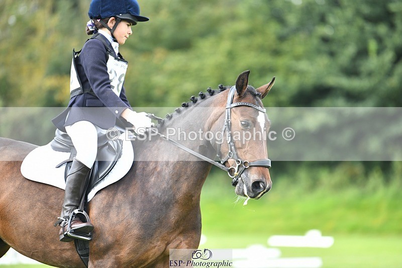 230826-110739-15747 - Sections C & D 10 to End