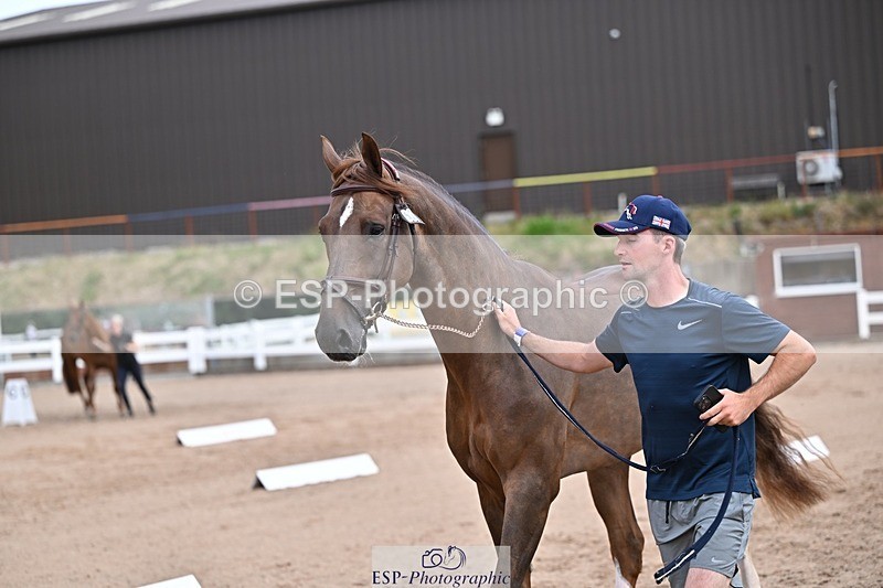 250716-131415-00403 - Trot Up 12.30 to 1.30