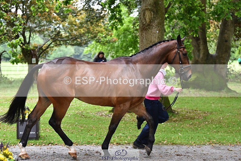 240522-163310-00999 - 211-THE_CLASSIC_COMPOSER-Rosie_Ringer